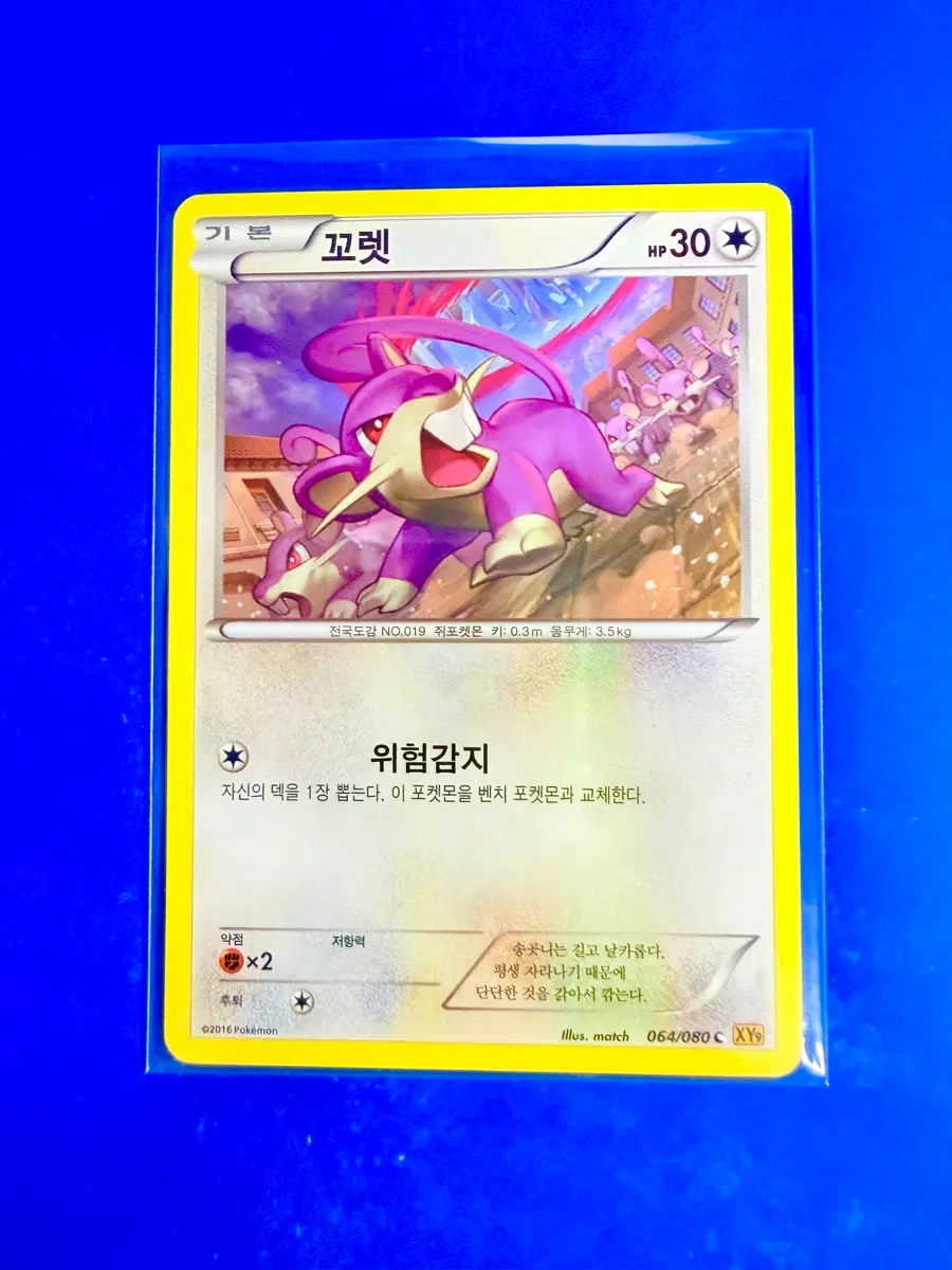 포켓몬스터 포켓몬카드 2016년 고대카드 XY9 꼬렛 카드