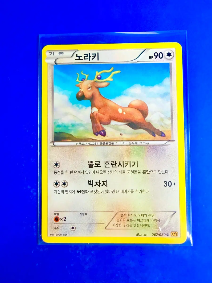 포켓몬스터 포켓몬카드 2016년 고대카드 XY9 노라키 카드