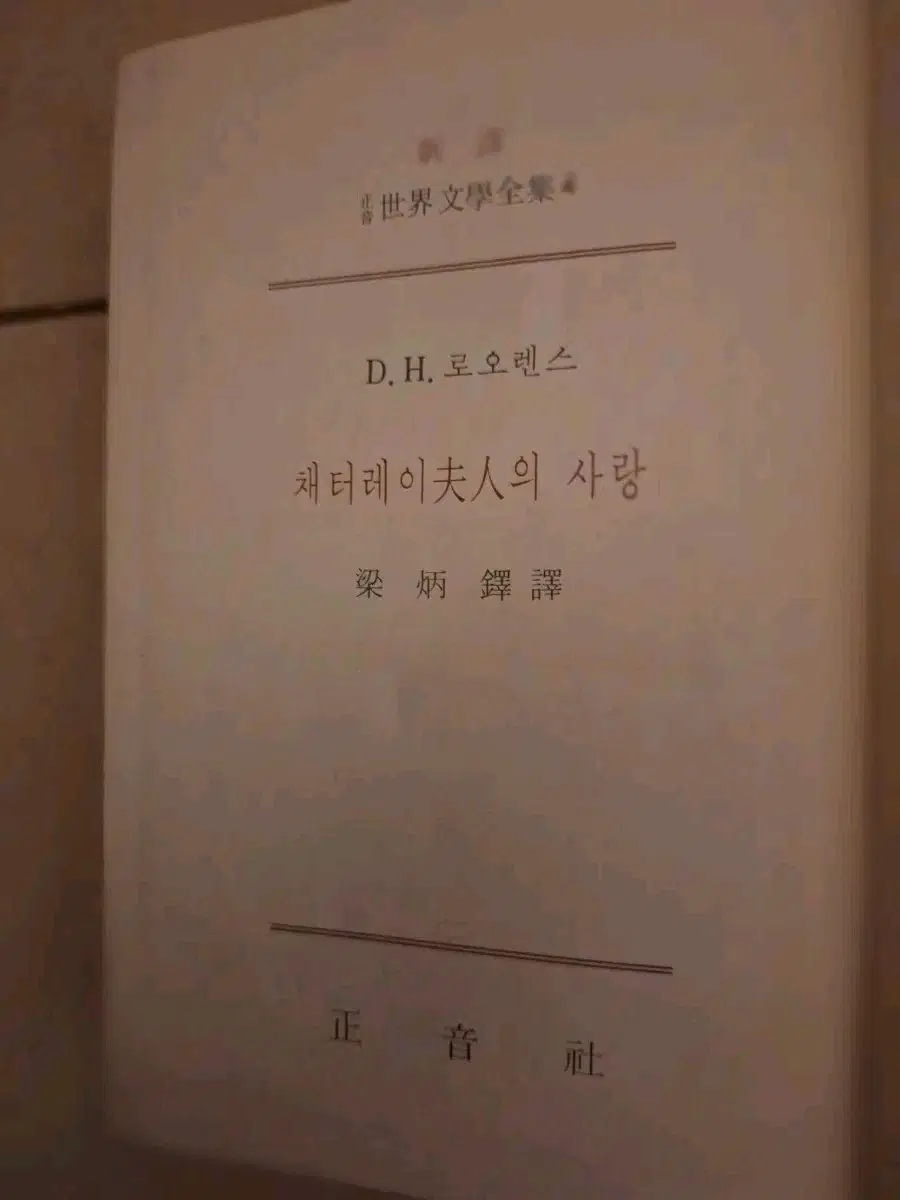 # D.H. 로렌스 채터리 부인의 사랑 (세계문학전집)