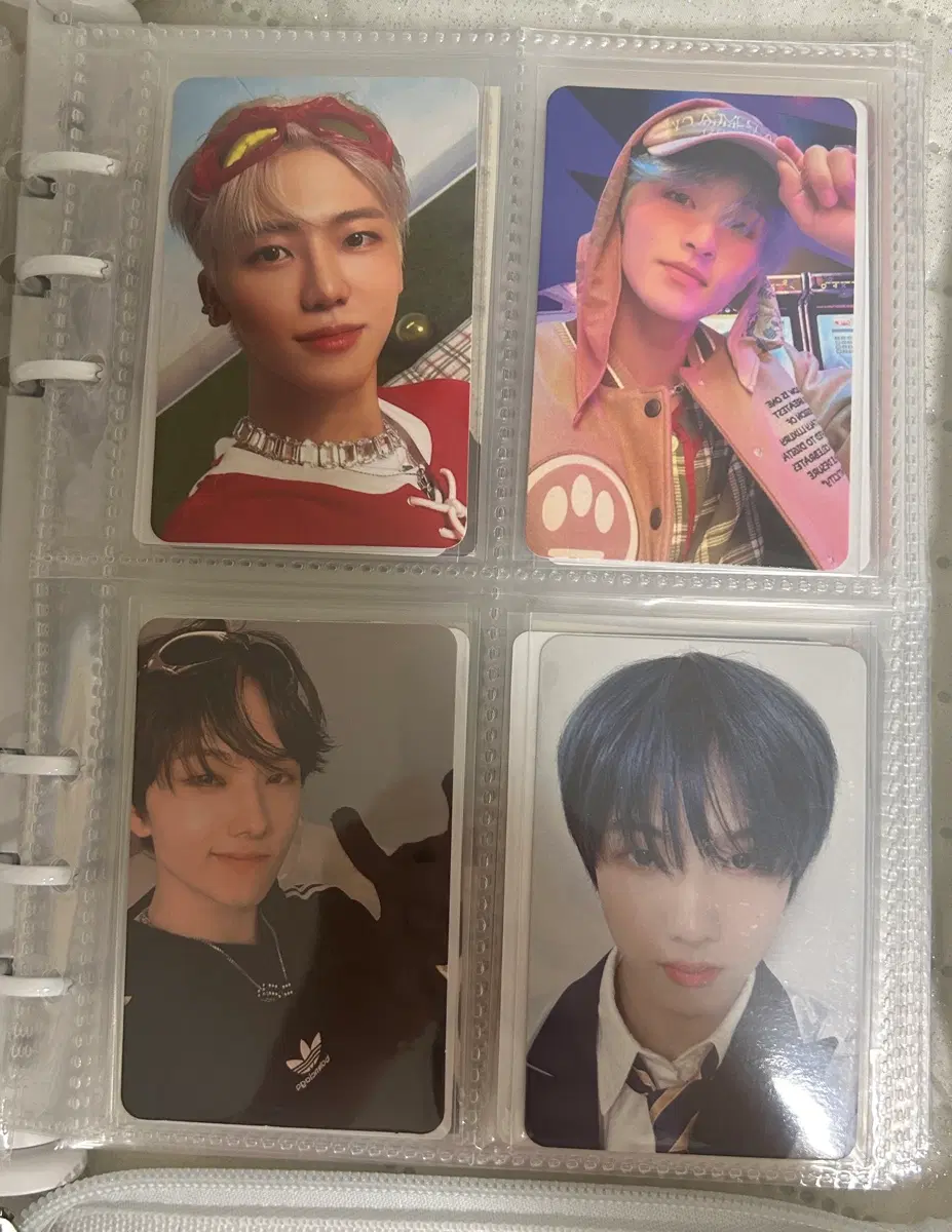 Nct 25 pocas bulk