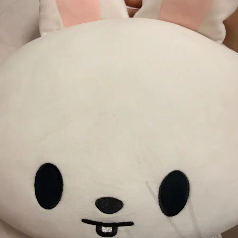 리빗 쿠션