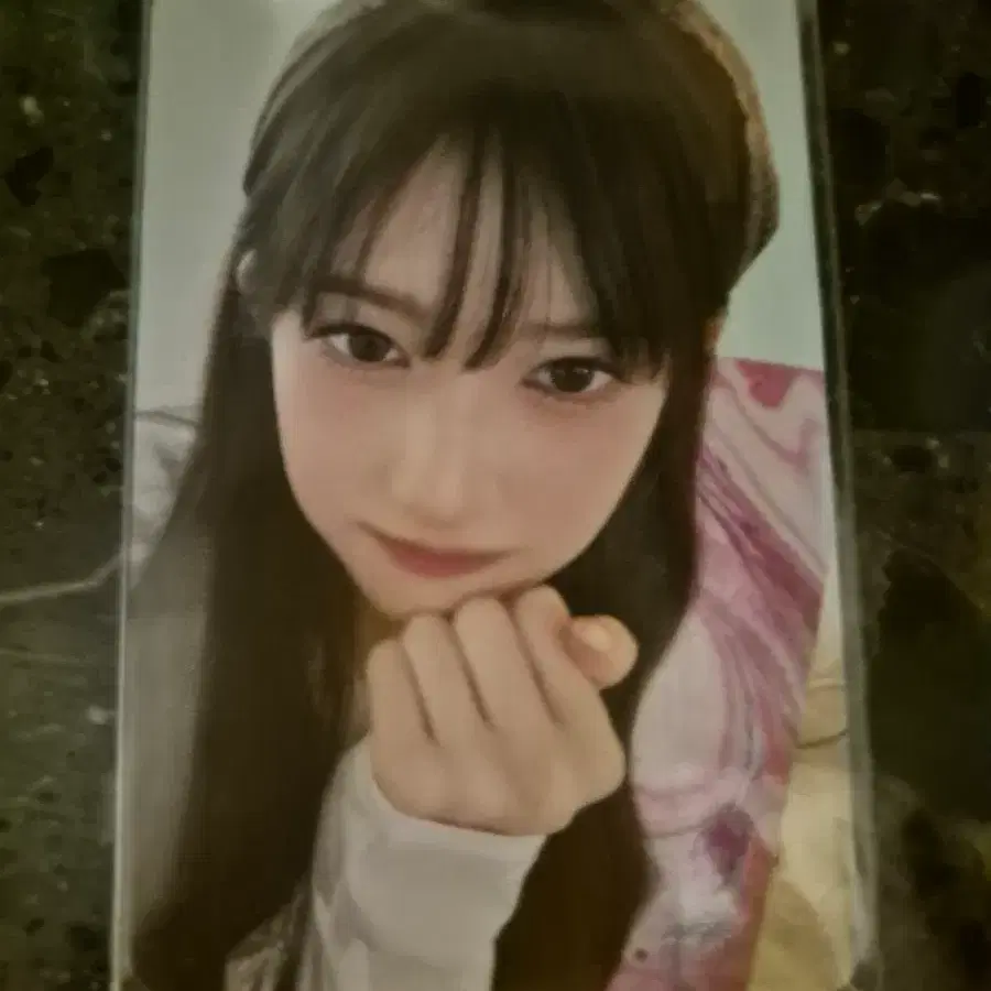이서 2025 시그 특전 포카