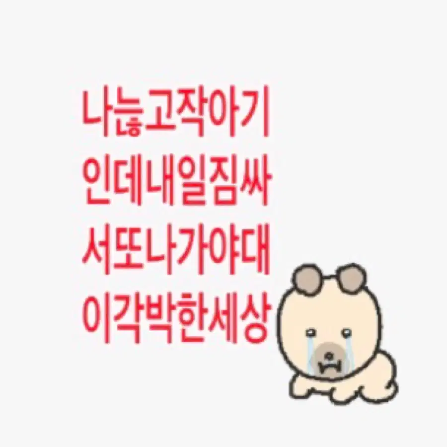 다마고치 미미치 인형 옷 엔시티위시 오시온 리쿠 유우시 재희 료 사쿠야 위시돌 버블냥