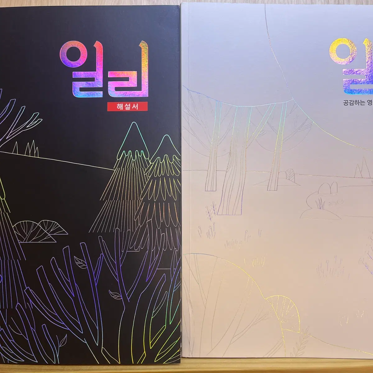 이명학 일리