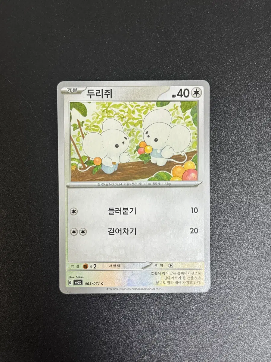 [포켓몬] 포켓몬 카드 두리쥐 063/071