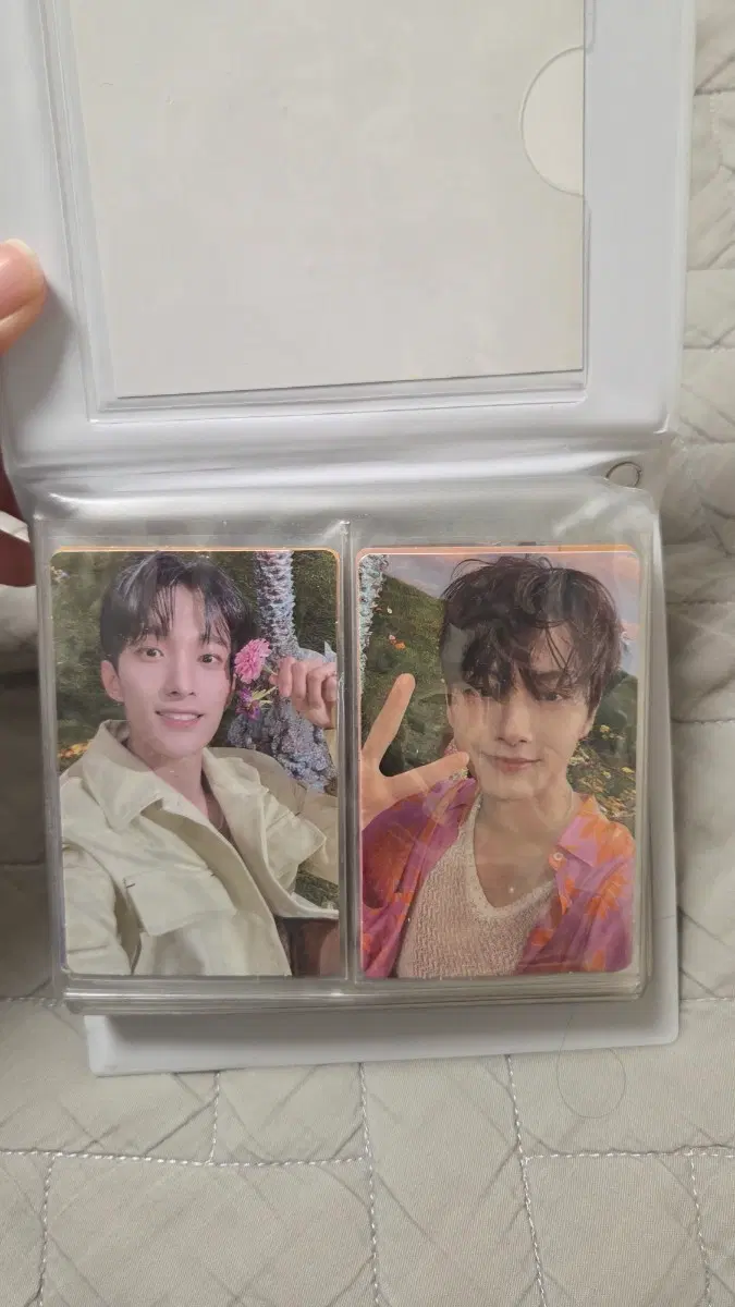 세븐틴 포카