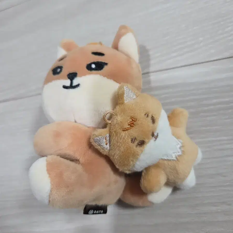 데이식스 데니멀즈 쁘디멀즈 나안아 케
