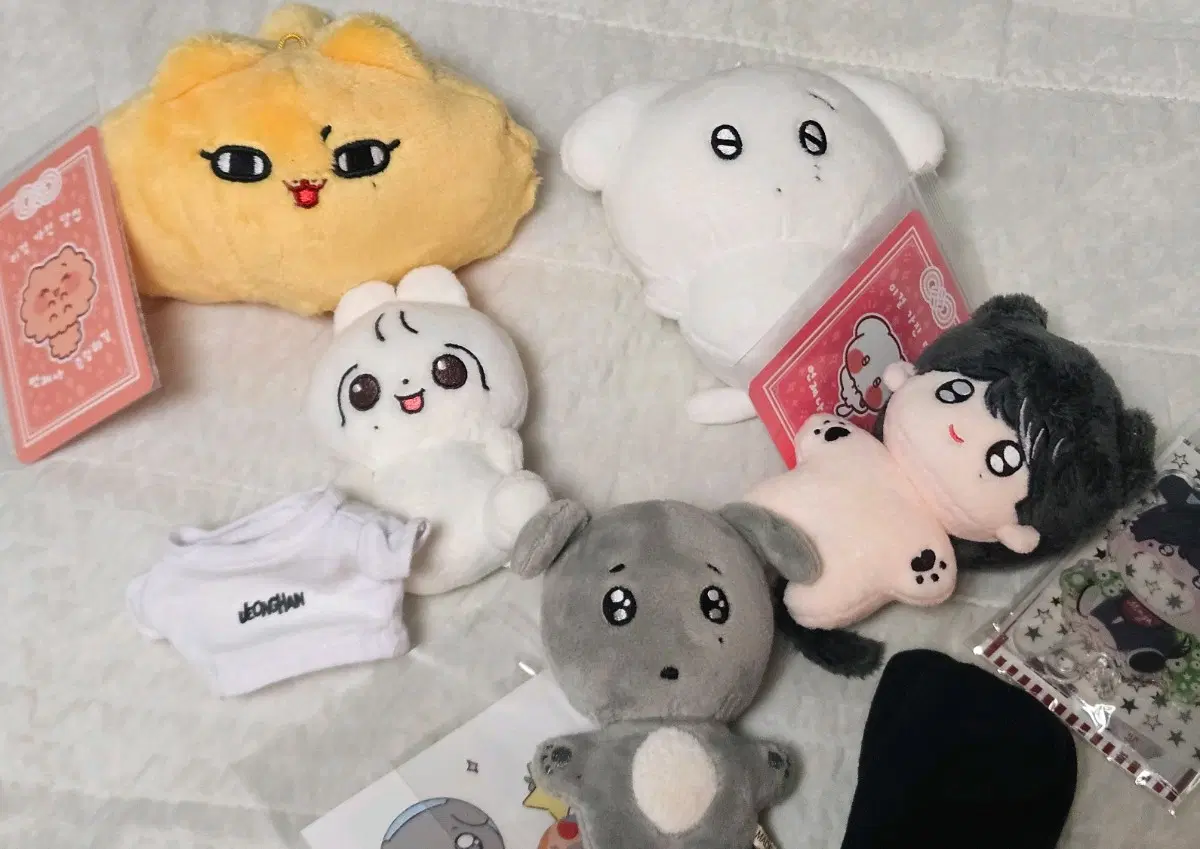 세븐틴 인형 판매합니다! 준삐 겸삐 쌀겨미 뽀쫑일 겸도그