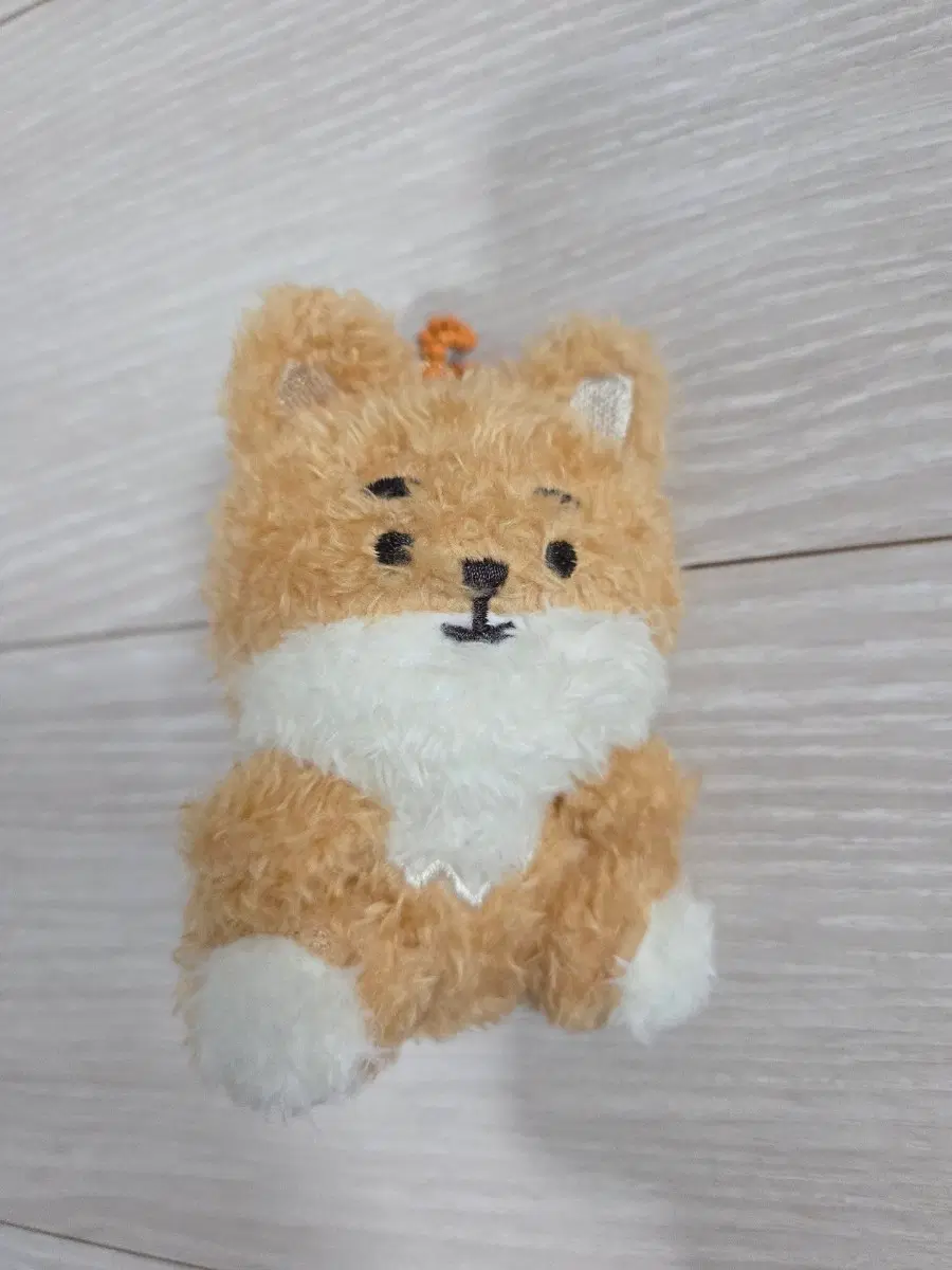 데이식스 쁘띠멀즈 앉은 케