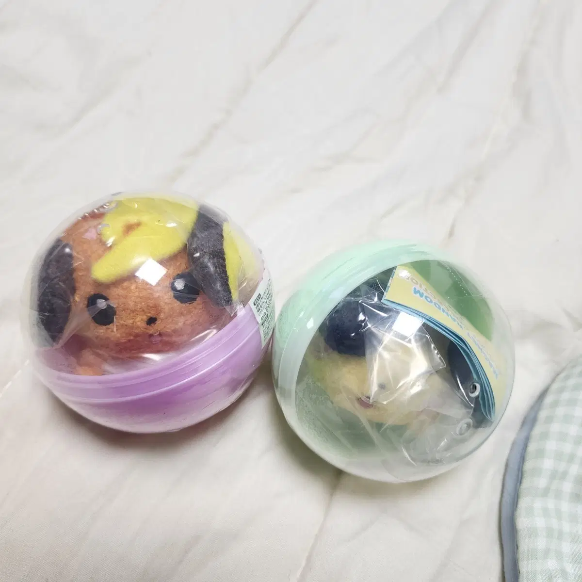 성수 포켓몬 팝업 볼찰싹 라이츄+피츄