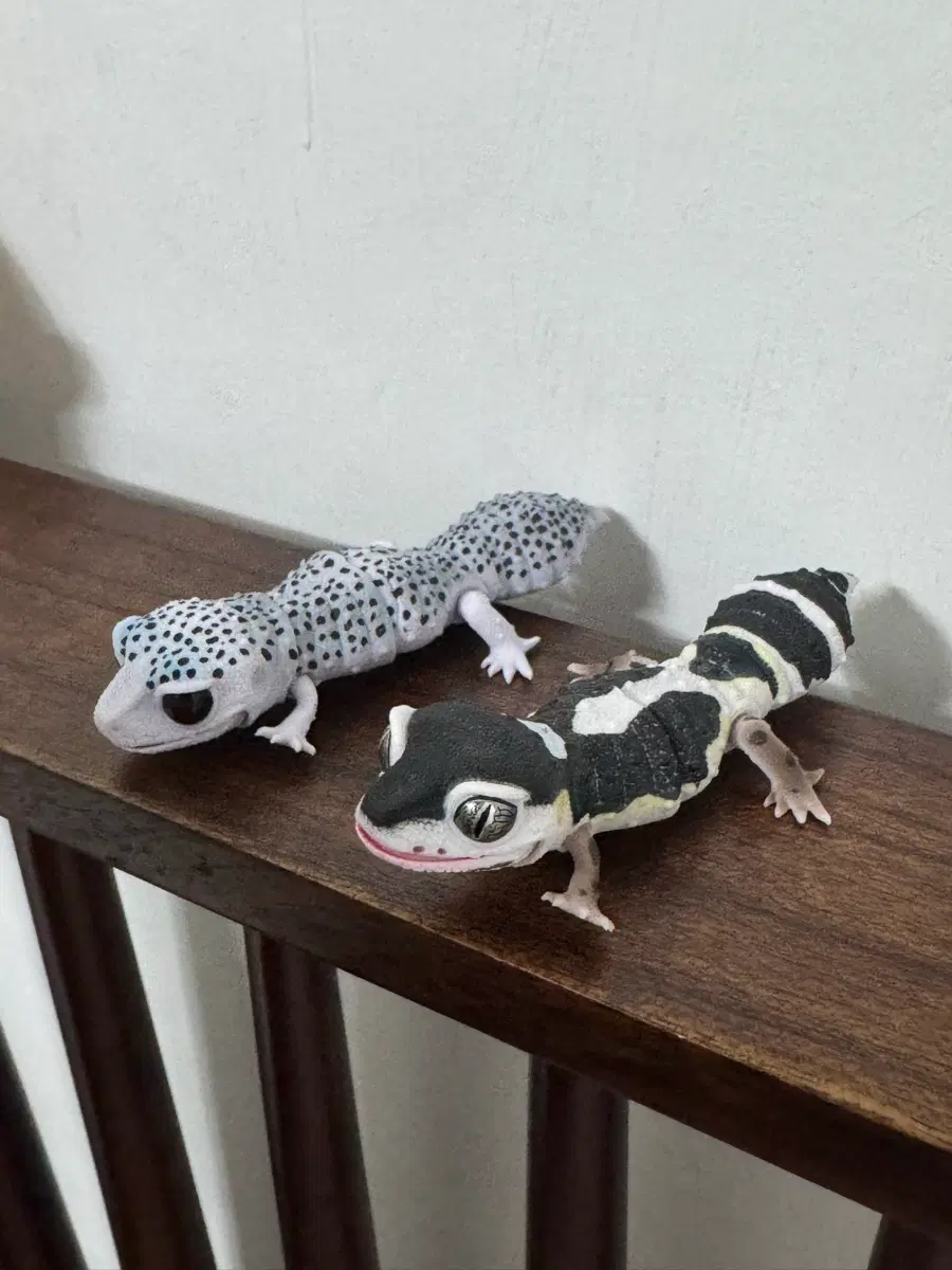 반다이 생물대도감 도마뱀
