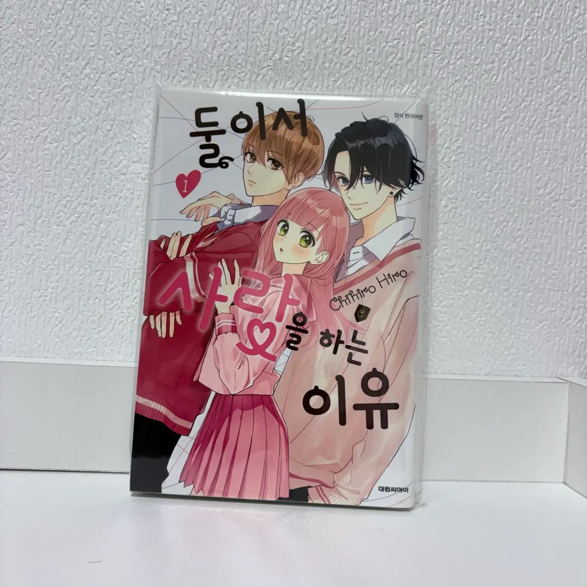 둘이서 사랑을 하는 이유 1권 만화책
