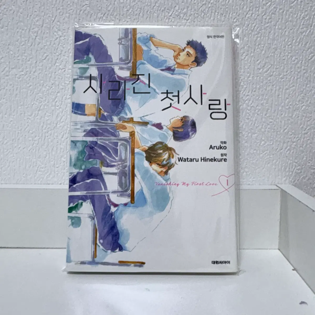 사라진 첫사랑 1권 만화책