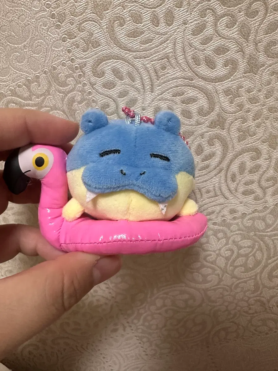 일괄) 포켓몬 느긋느긋 바캉스 팝업 한정 캡슐