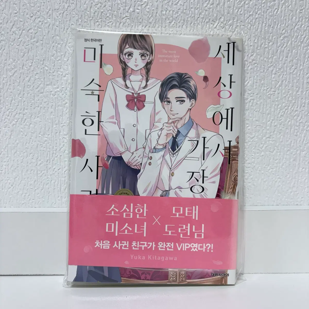 세상에서 가장 미숙한 사랑 1권 만화책