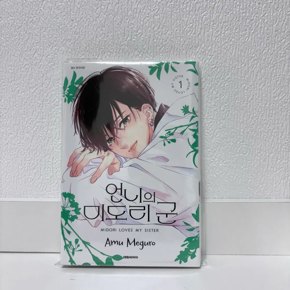 언니의 미도리군 1권 만화책