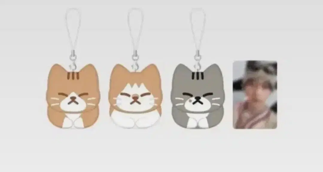 순둥도리 키링