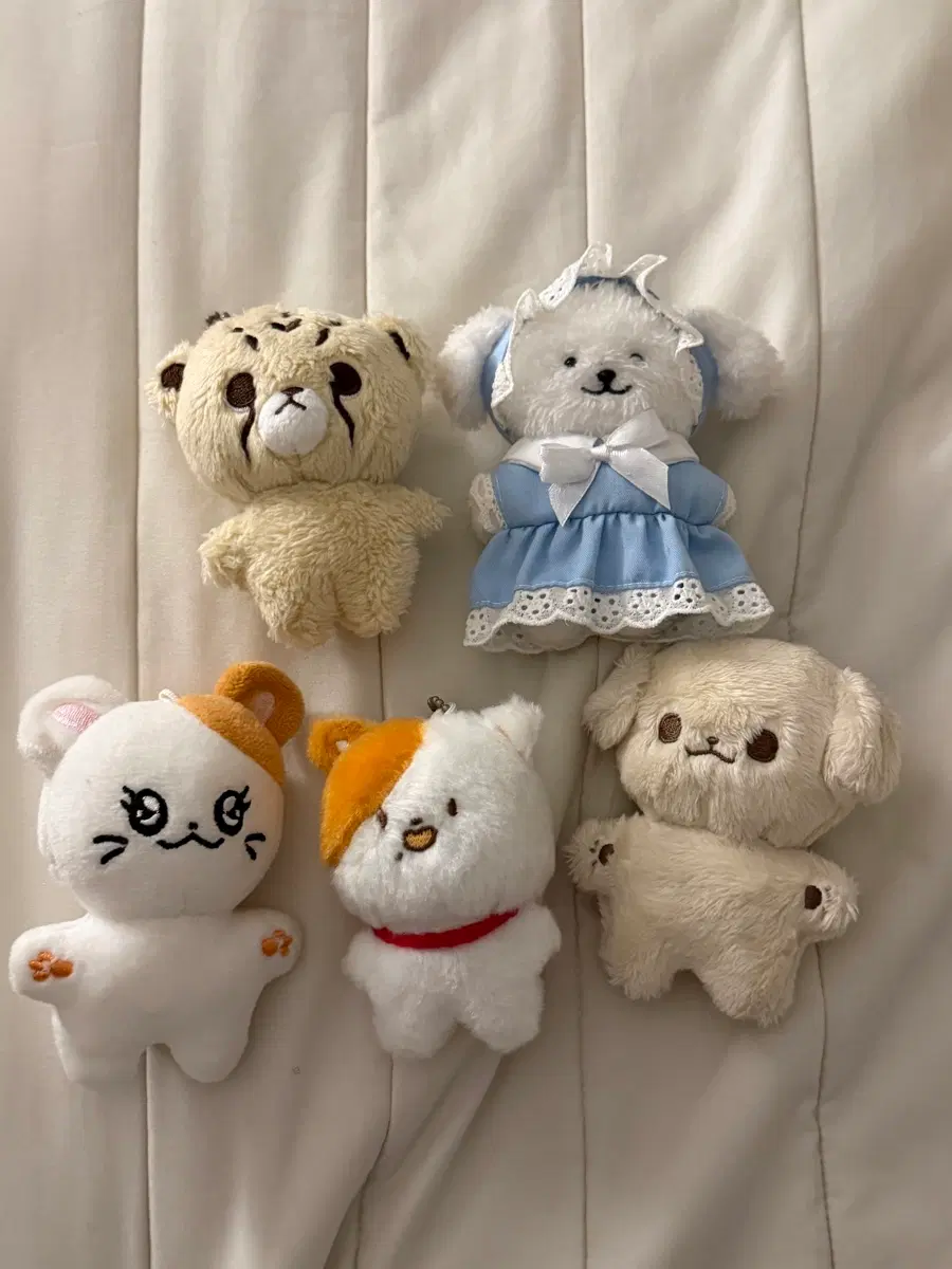 엔시티 인형