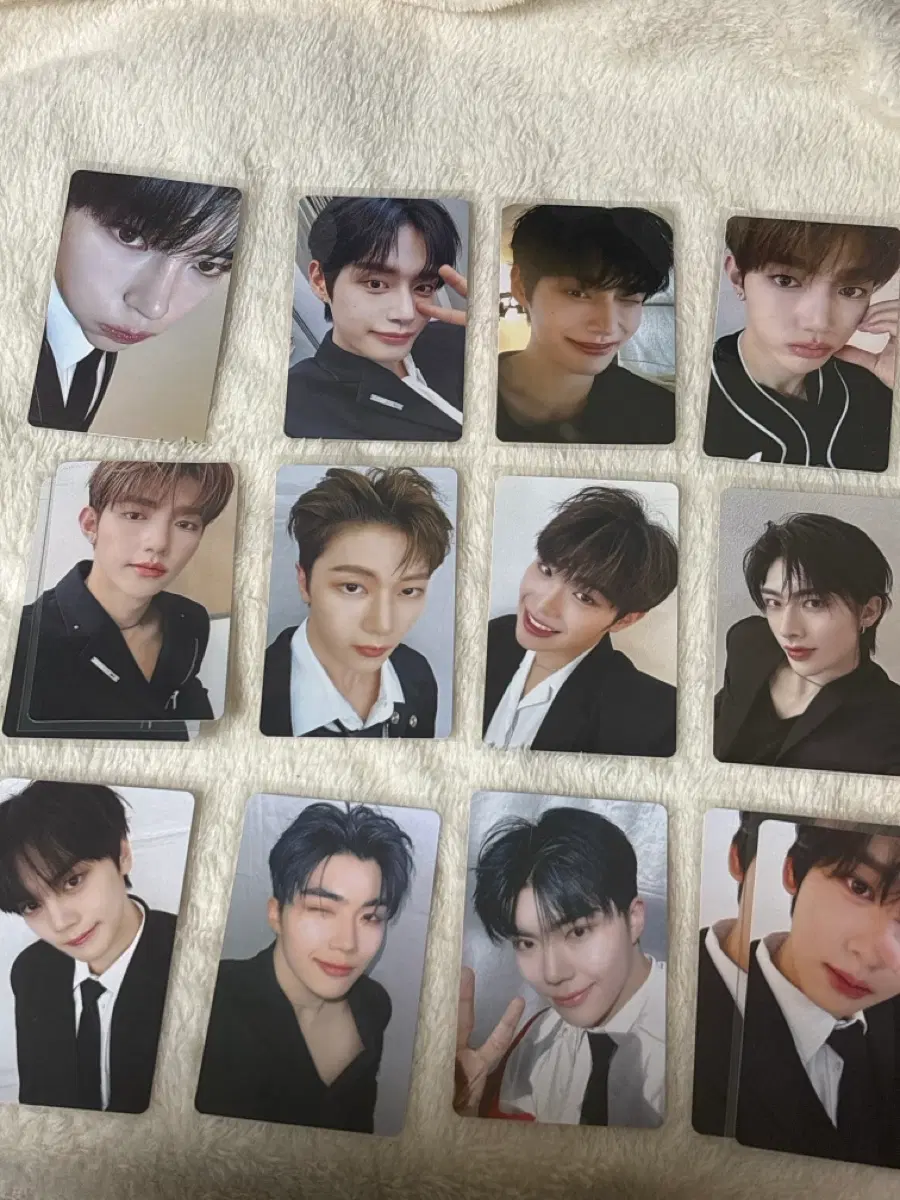 제베원 틈새라면 포토카드
