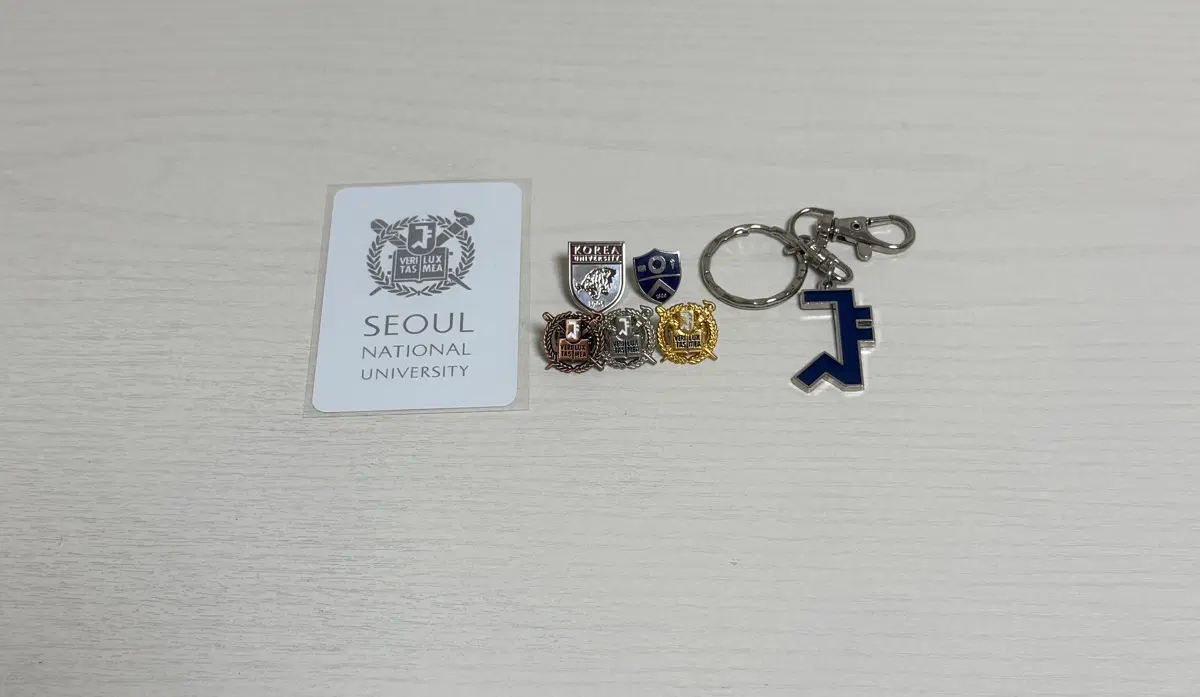 (원가 이하 판매)Sky 대학교 서울대 연세대 고려대 뱃지,카드 키링 일괄 판매합니다