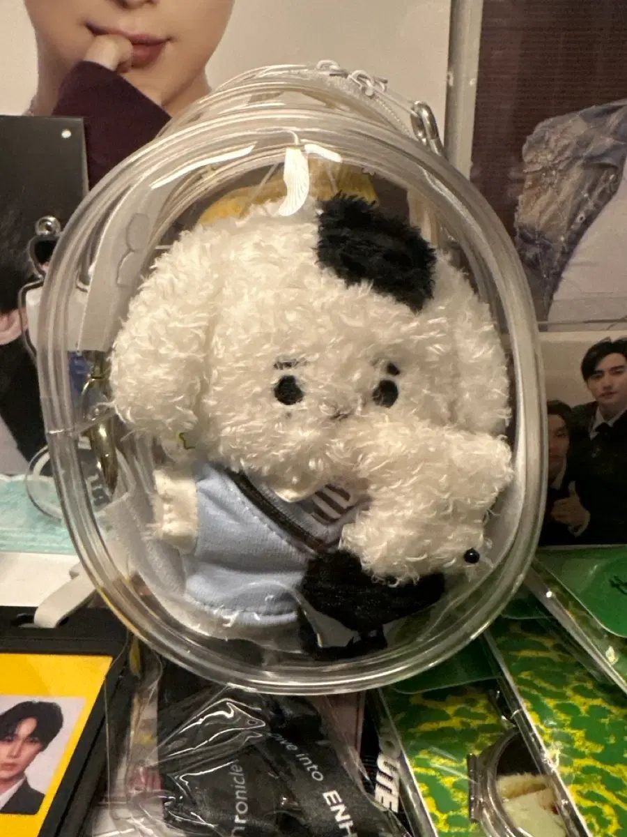 엔하이픈 성훈 훈김이 인형 판곡고 가을이 세트