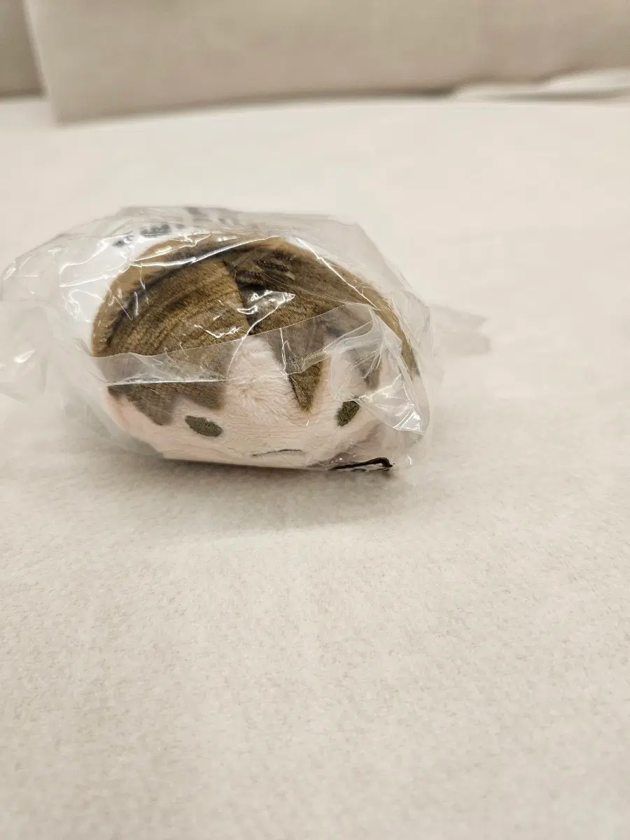 하이큐 노루캬라 우시지마 우카토시