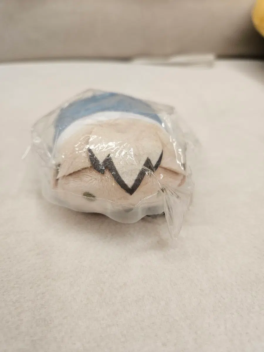 하이큐 노루캬라 키타