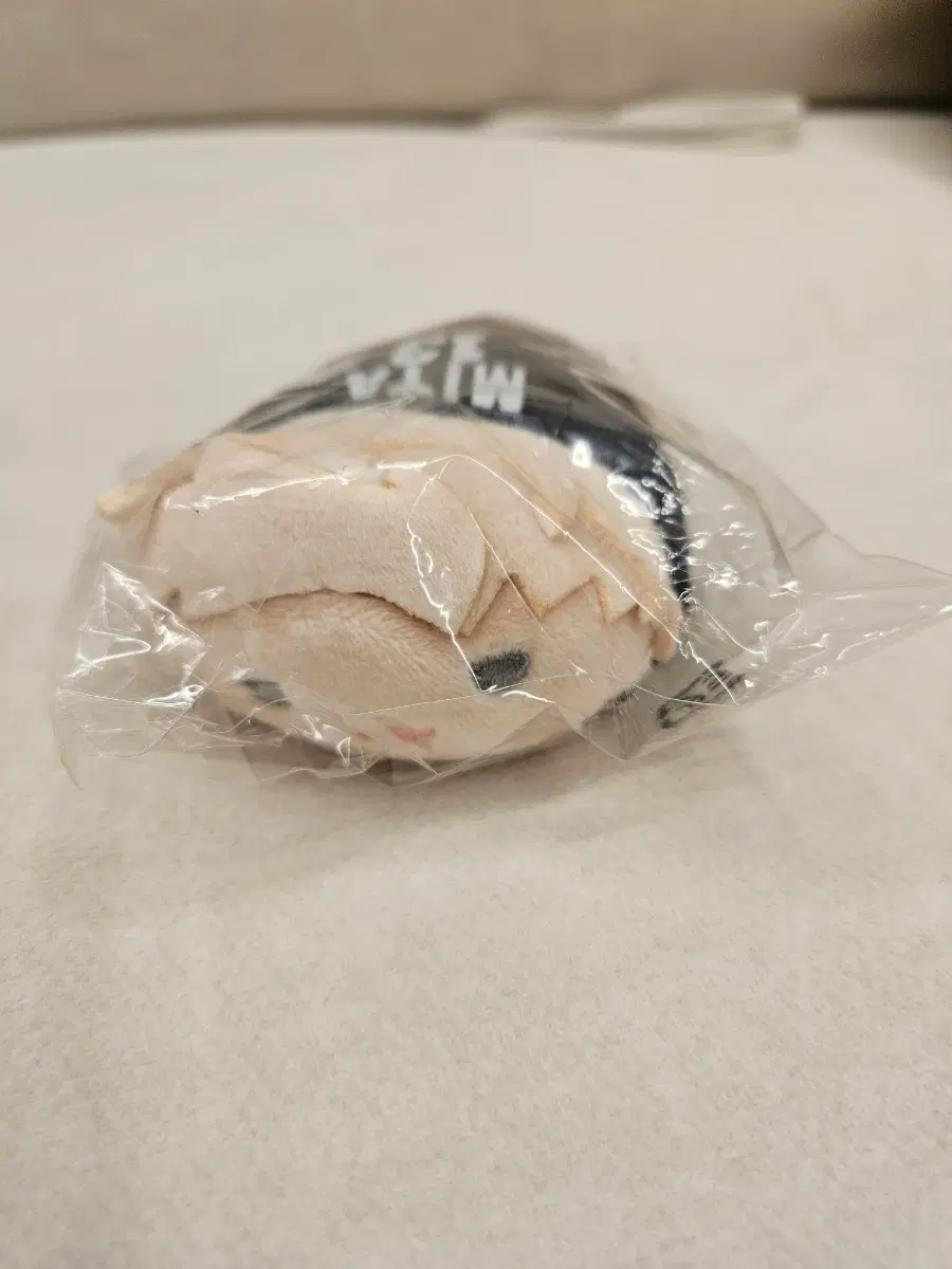 하이큐 노루캬라 미야 아츠무