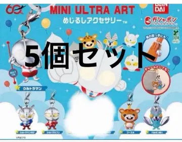 MINI ULTRA ART 메지루시 액세서리 5개 세트