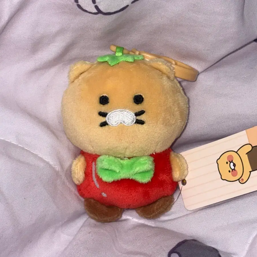 (정품) 춘식이 토마토 인형 키링 카카오프렌즈