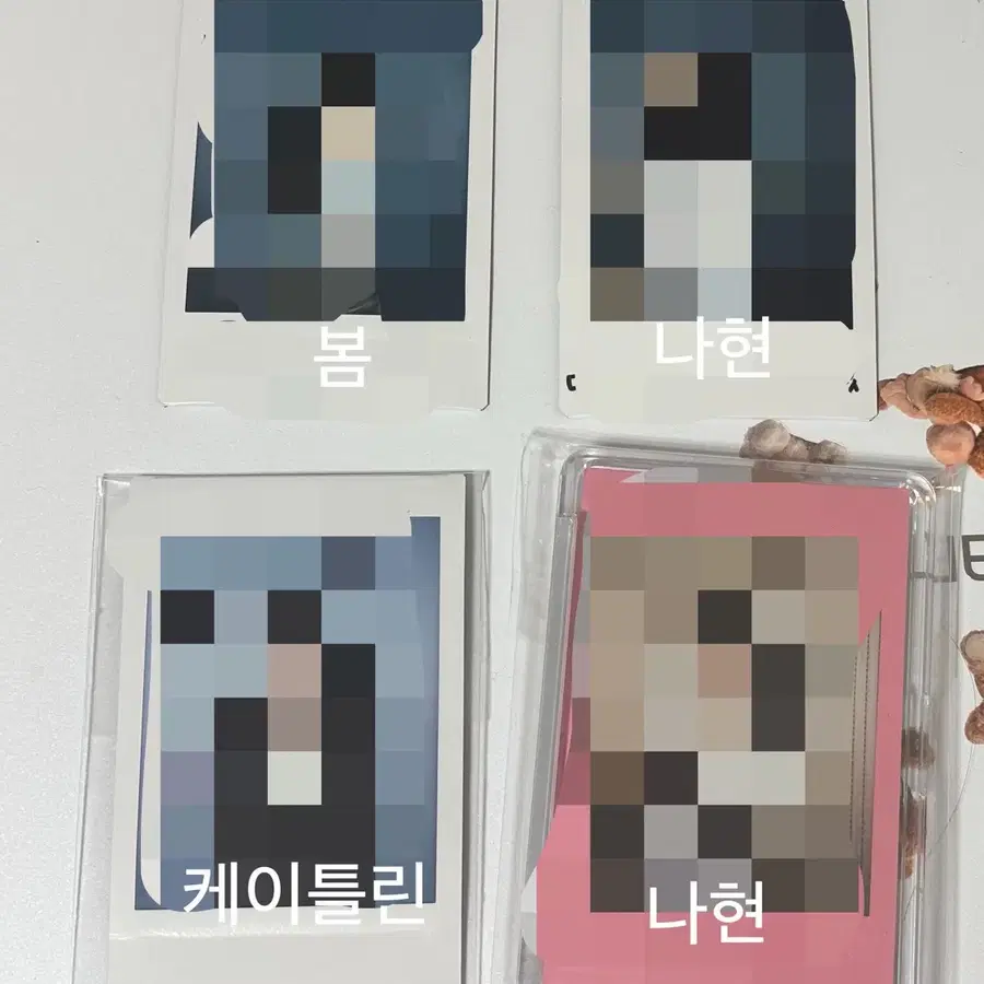 앳하트 plot twist 나현 봄 butterfly doors 케이틀린 폴라로이드 양도 판매 sell