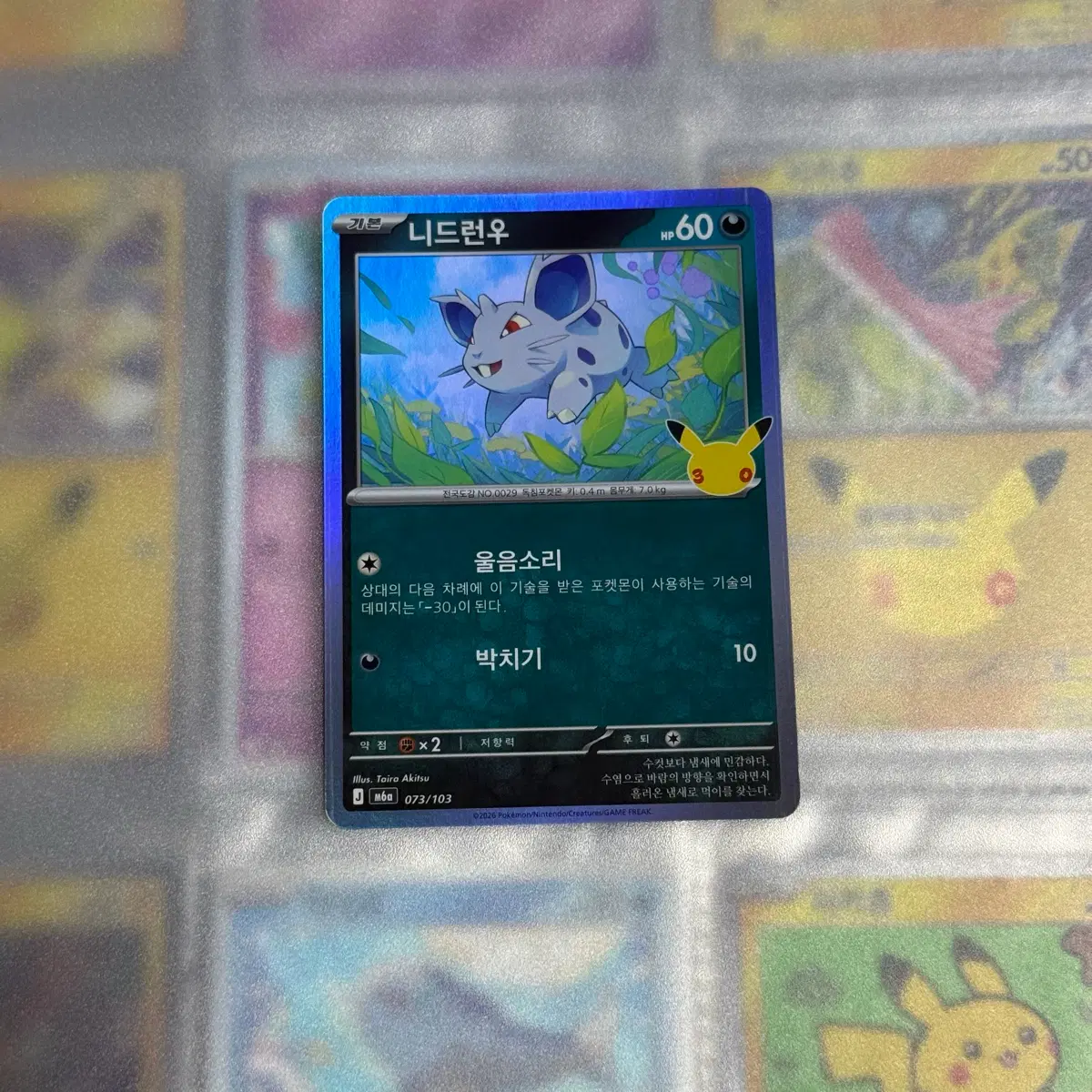 [포켓몬카드] 포켓몬카드 30주년 니드런 판매합니다