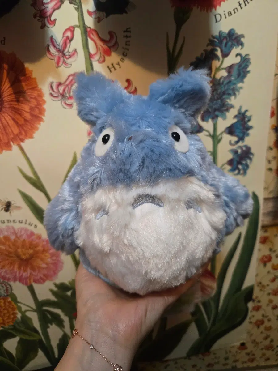 19cm 중토토로 인형