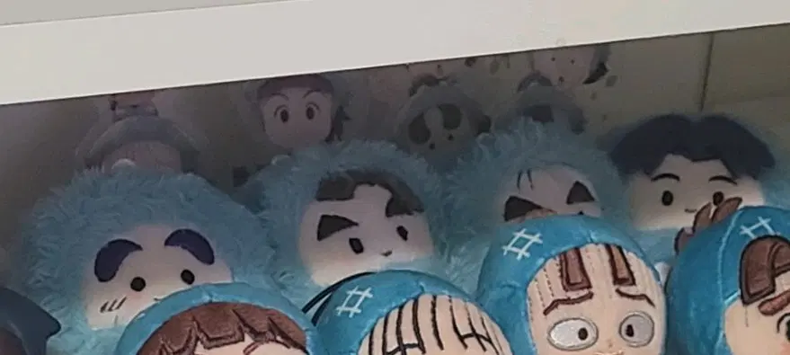 닌타마 닌자보이란타로 텐키 호와누이 1닌 타피누이