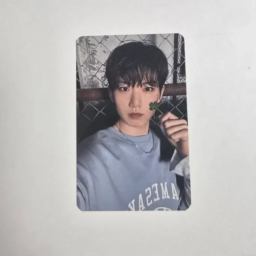트레저 팝업 마이 프레저 럭키 트메 이벤트 네잎클로버 준규