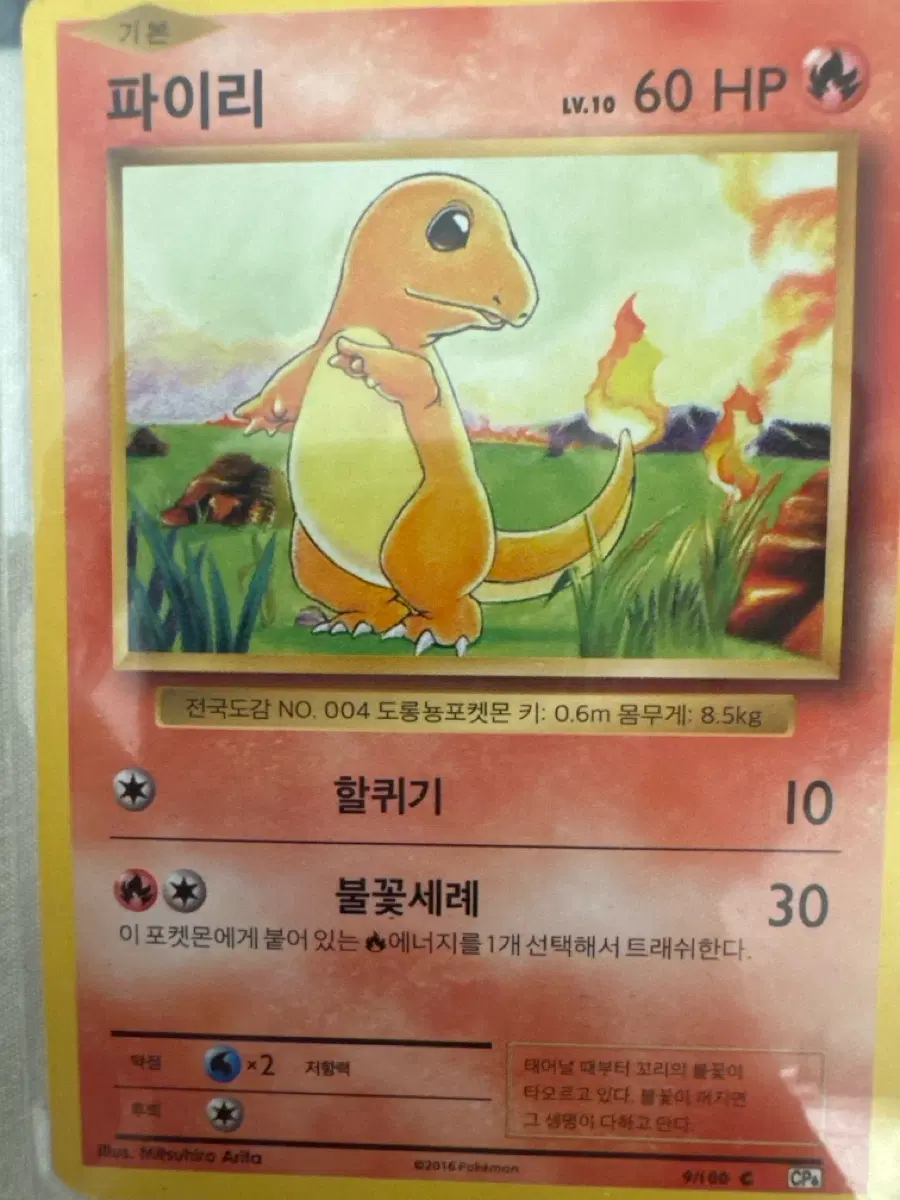 20주년 파이리 포켓몬스터 카드