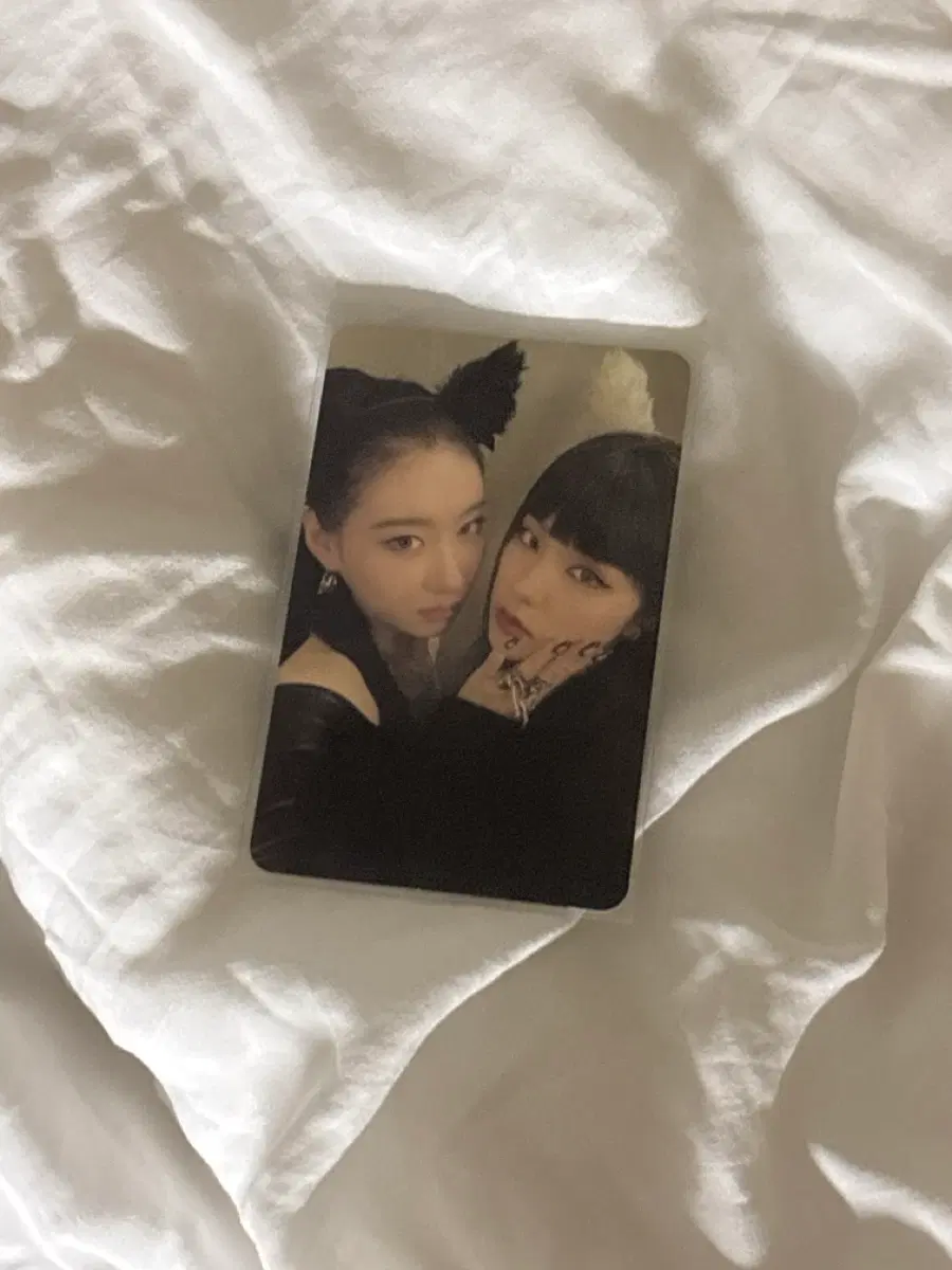있지 채령 예지 포토카드