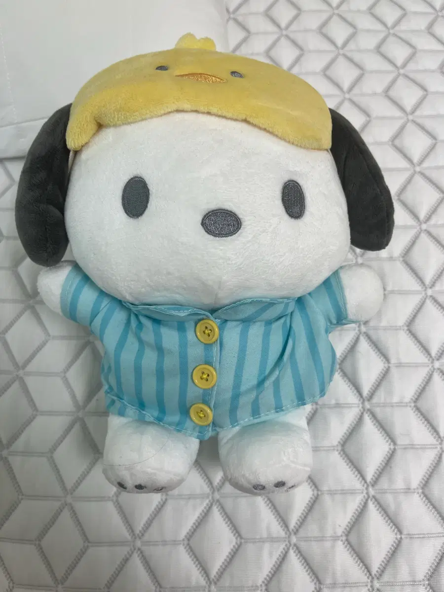 산리오 포차코 정품인형