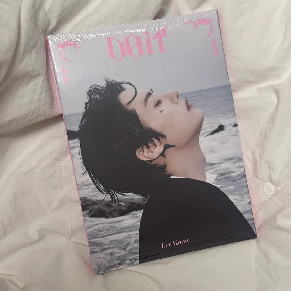 스트레이키즈 두잇 미개봉 리노 아코디언 앨범