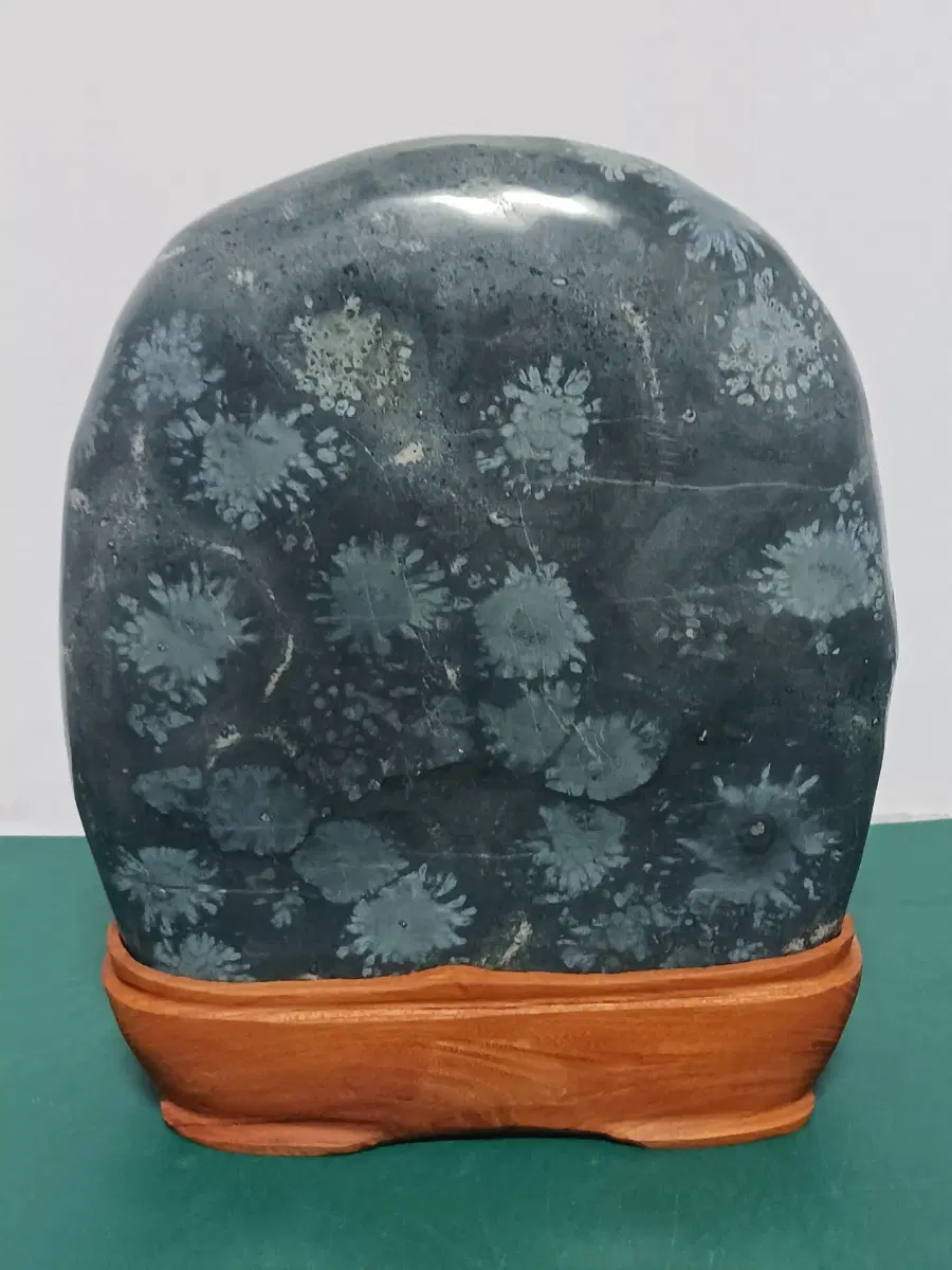 청송꽃돌(청국화)