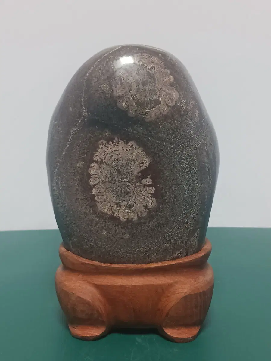청송꽃돌(분홍국화)