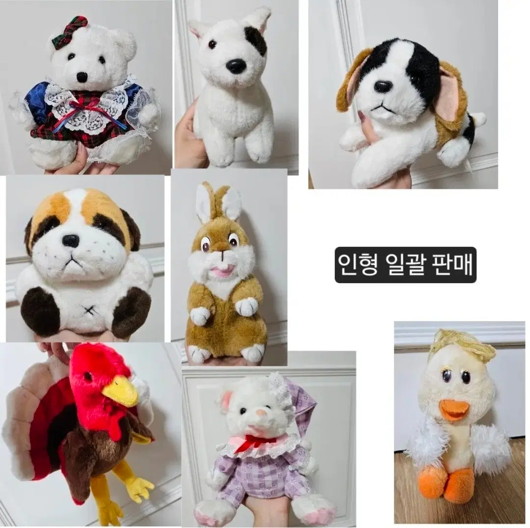 빈티지 인형 일괄 판매 양도 처분
