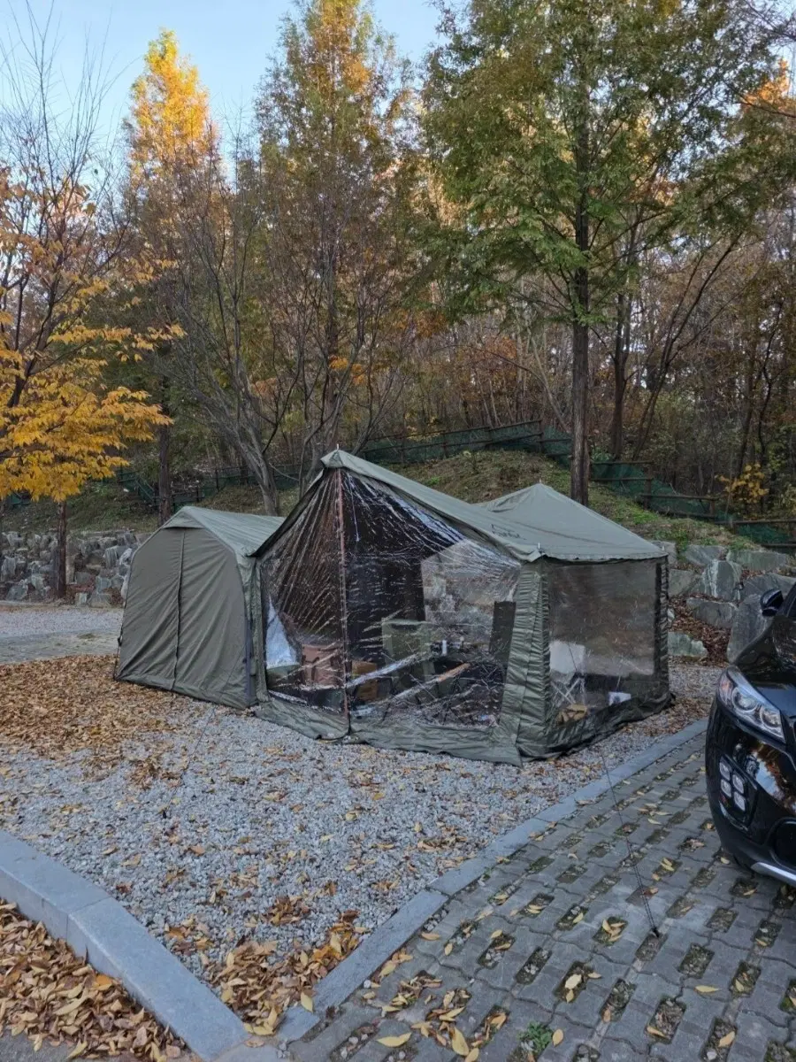 쿠디 웨이브 면텐트(그라운드시트, 카페트, 펌프, 폴대, TPU창 전부)