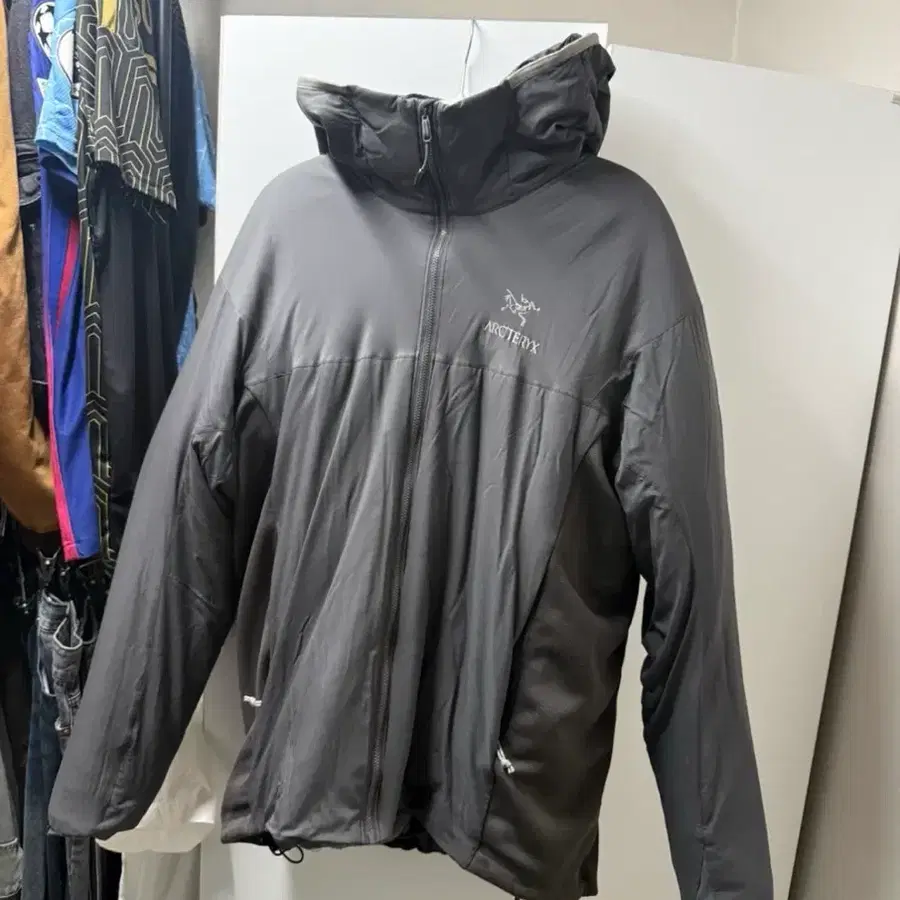 아크테릭스 Lt L