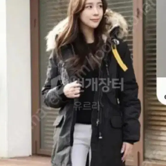 파라점퍼스