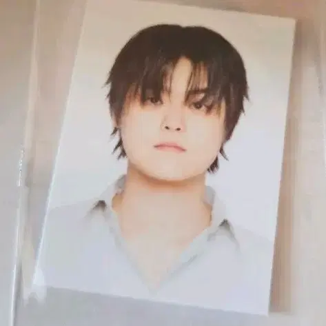 빈첸 증사 증명사진
