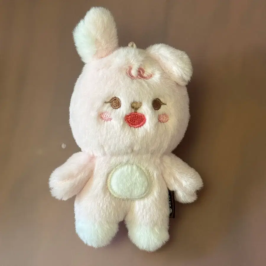데이식스 데니멀즈 쁘멀 필 필끼