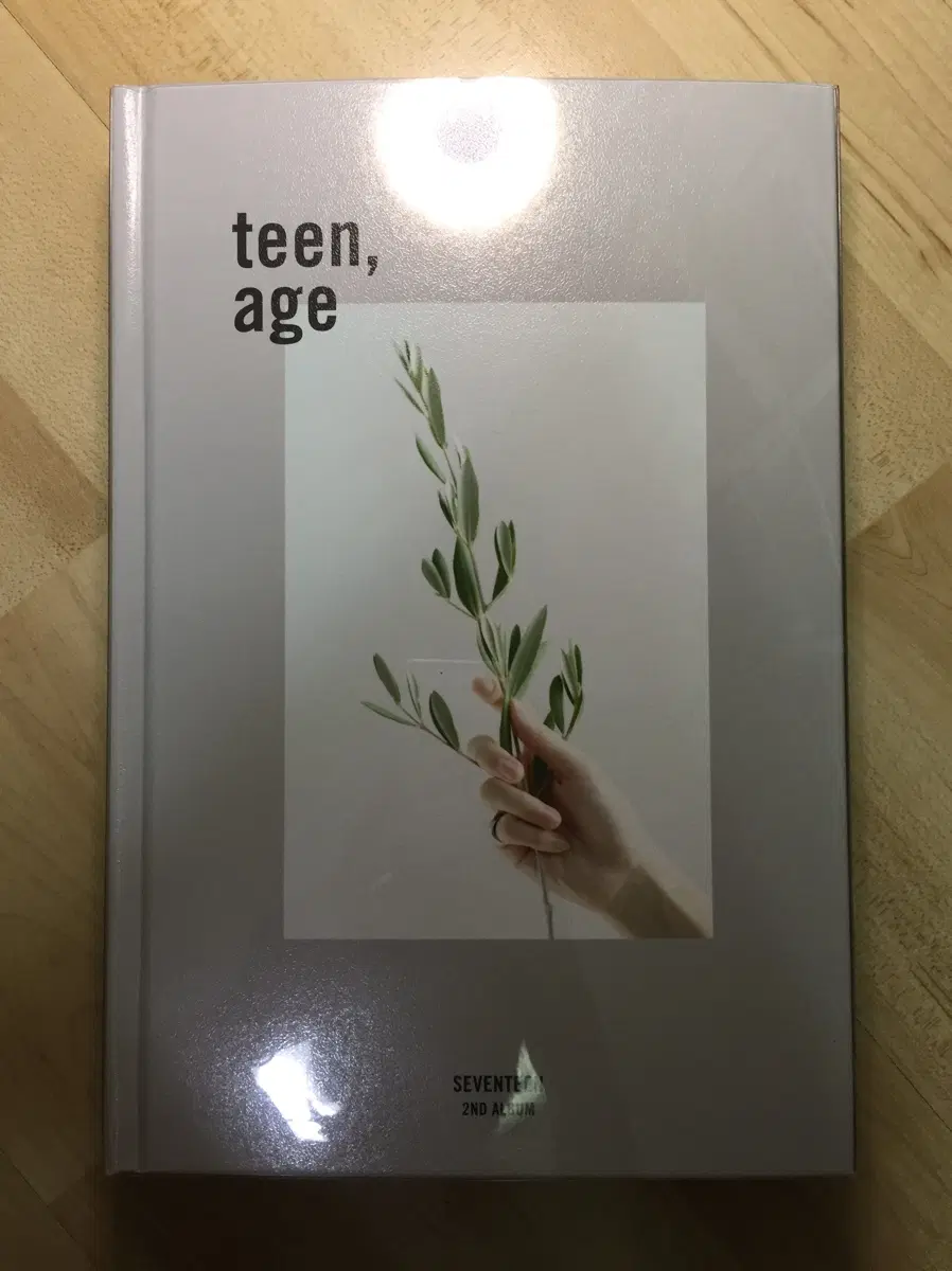 세븐틴 TEEN, AGE 앨범