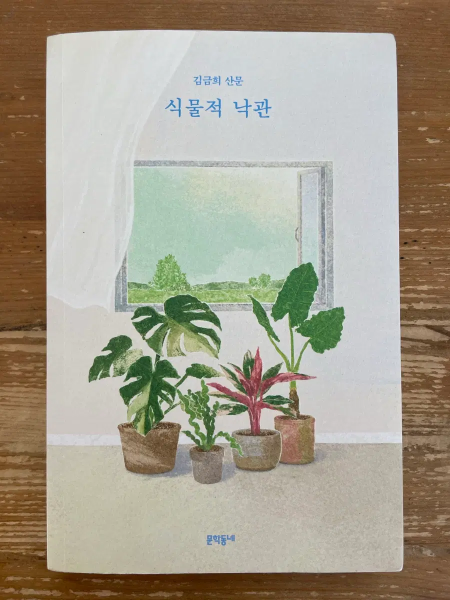 식물적 낙관 : 김금희 산문