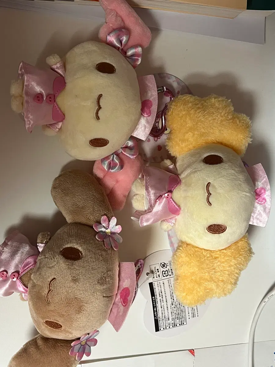 스핀즈 시나모 엔젤스 3개 일괄